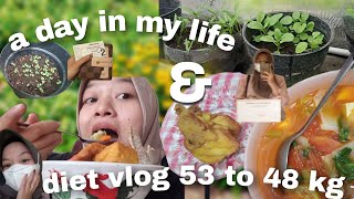 a day in my life Ibu rumah tangga+ Diet vlog ❤️