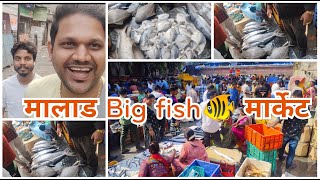 मित्रांसोबत पुन्हा एकदा गेलो मालाड फिश मार्केट ला.| Malad biggest fish market#fishmarket