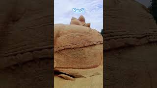 Lepakshi Nandi #nandi #lepakshi #bholenath #biggeststatue #god #lepakshitemple #shorts #trending