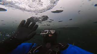 Buceo Bajo el Hielo / Ice Diving