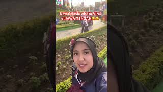 New celiosa , wisata viral di bandungan #viral #shortsvideo #celosia #shortsfeed