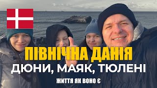 Подорож Північною Данією: покинутий маяк, тюлені та Ольборг (листопад 2024р.)