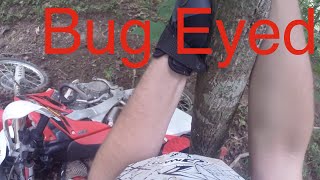 Paperville Trails Trilogy: Bug Eyed