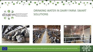 Drinking water in dairy farm: smart solutions