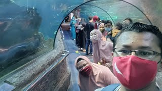 AQUARIUM RAKSASA | SEAWORLD | ANCOL