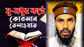 মন মুগ্ধ কর তেলাওয়াত | কারী হাফেজ মাওলানা নুরে আলম সিদ্দিকী | Quran Tilawat Nure Alam Siddiqueki