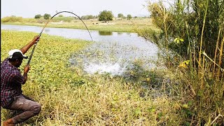 Unbelievable Fishing 🎣 7kg 3kg BiG ROHU Fish Catching BiG Rohu Fishes to catching in Krishna River