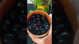 ఎన్నో ఆరోగ్య ప్రయోజనాలు ఇచ్చే Neredu pallu జ్యూస్#Jamun juice #Healthy & Tasty నేరేడు పళ్ళు..