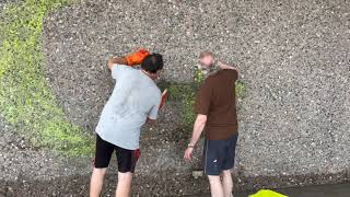 👍 community volunteers clean up after vandalism 😭