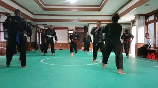 Beladiri ( pencak silat )