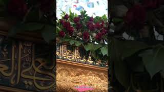 Birthday celebration of imam Zain ul abideen as  in Karbala |  #shorts#youtubeshorts #السجاد