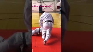 Aikido control