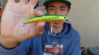 Is this the #1 Freshwater Lure??? Yo-Zuri Pins Minnow Review