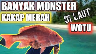 Mancing Ikan Kakap Merah Di Laut Wotu