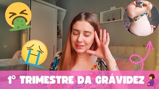 DIÁRIO DA GRAVIDEZ | Primeiro Trimestre - sintomas e emocional...e mais | Le Lucci