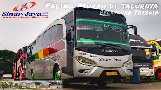 Po.Sinar Jaya Mendominasi Terminal Pulogebang | Absenin Bus Sinar Jaya..