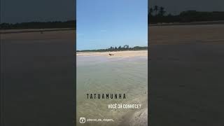 Tatuamunha! Você já conhece essa praia? 😎Alagoas maravilhosa