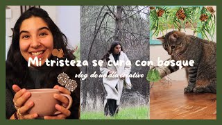 El Bosque 🌲💚 cura la Tristeza 😭✨: Transformación y Creatividad