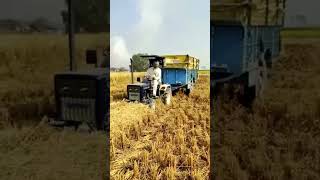 #swaraj #swaraj717 #agriculture #farming #tractor #youtube #fun #youtubeshorts