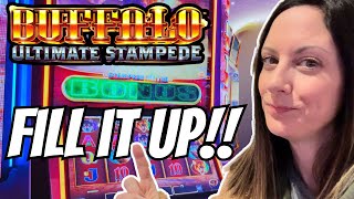 🦬 I Was So Stressed Playing Buffalo Ultimate Stampede‼️