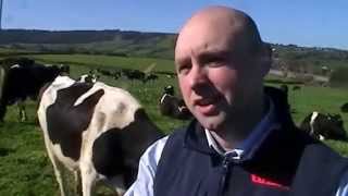 Dairy Nutrition and Grassland Management Update - Liam Stack GAIN Feeds