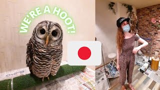 Owl Café 🇯🇵