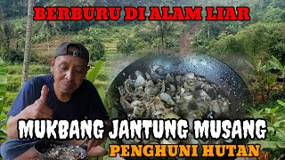 SURVIVAL!! MUKBANG OSENG JANTUNG HASIL DARI ALAM BIKIN KETAGIHAN