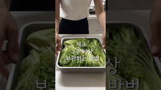 이렇게 보관하면 2주 이상 신선하게 먹을 수 있어요 #야채보관 #살림팁 #살림템