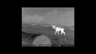 Krypton FXG50 - deer videos from device