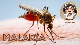 Malaria: A Journey Through History and its Continuing Impact