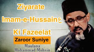 Ziyarate Imam e Hussainع Ki Fazeelat | Maulana Syed Mohammad Mohsin Sb