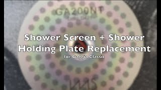 Gaggia Classic Shower Screen & Shower Plate Replacement