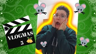 🎄 VLOGMAS #5 - HO I TOPI IN CASA!!! 🎄