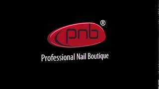 PNB logo