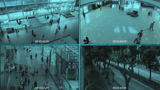 Video Surveillance by Lex Protect