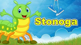 Stonoga - Pesmica za decu | Dečija pesma | Pesme o životinjama | Pesma o stonogi - Centipede song