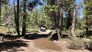 Gold Lake, Plumas National Forest in a Jeep TJ Rubicon Part 2