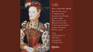 Tallis: Miserere nostri