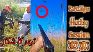 Session 2022.2023 starting partridges Hunting Teetar ka shikar shotgun with gundogs