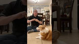 His dog knows sign language 🤯- Road to 100k SUBSCRIBE‼️ *repost*