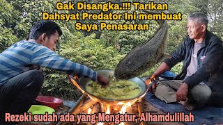 Gak Disangka!!! Tarikan dahsyat Predator ini membuat saya penasaran | Rezki sudah ada yang mengatur