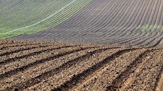 Consejo de Gobierno: seguros agrarios, viviendas, llanura manchega