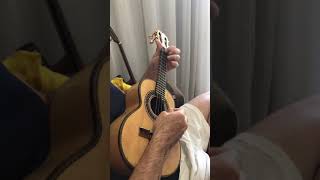 Thiago Nunes - Quando o amor descortinou - cavaquinho