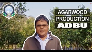 BIOTECH approaches in sustainable AGARWOOD Production | ADBU