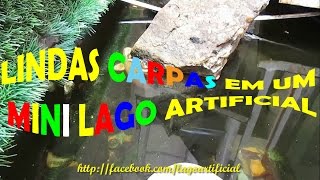 Criar peixe de agua doce em mini lago artificial | Paisagismo e jardinagem; pequeno; natureza