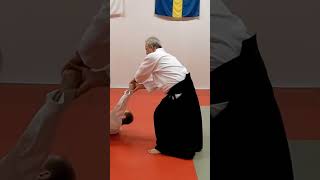 Aikido technique KOTEGAESHI on some grab and strike attacks, by Stefan Stenudd