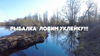 Рыбалка  ловим уклейку!!!