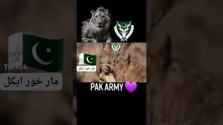 Love 💓pak army 💓isi 💥#Short #ISI #SSGCOMMANDO #ARMY #PAKISTAN #PAKARMY