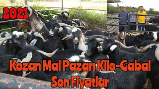 2021 ADANA KOZAN HAYVAN PAZARI KURBANLIK FİYATLARI KİLO GABAL SON FİYATLAR PART 2 #kurbann