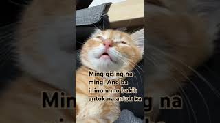 Wake Up na ming #vlog